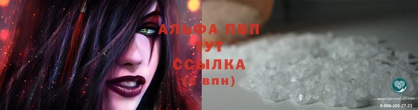 эйфоретик Надым